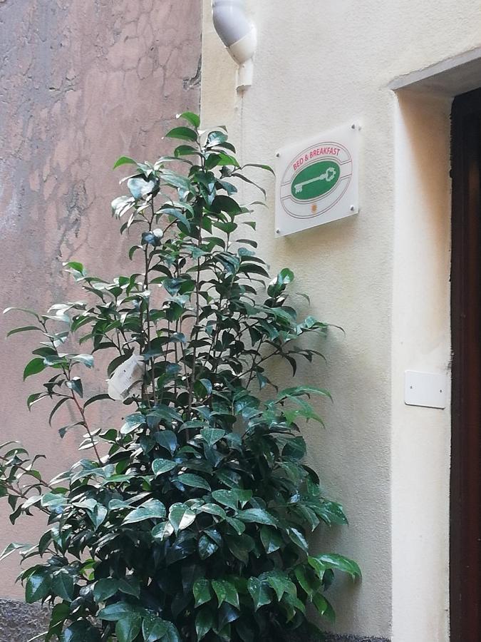 B&B Sotto Le Torri Albenga Exteriör bild